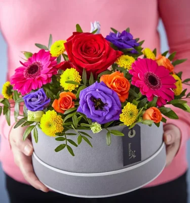* Hatbox - Bright